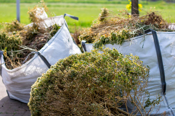 Best Local Junk Hauling  in Van Buren, AR